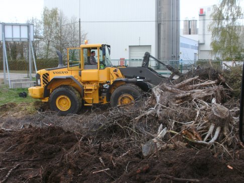 shredderen van stronken en takken tot biomassa (1)